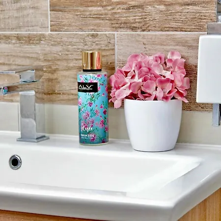 Appartement The Attic