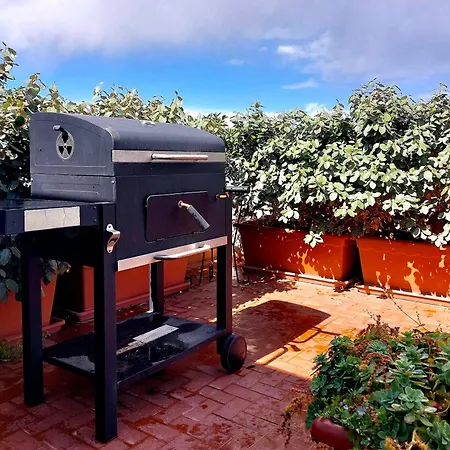 The Attic * Civitavecchia